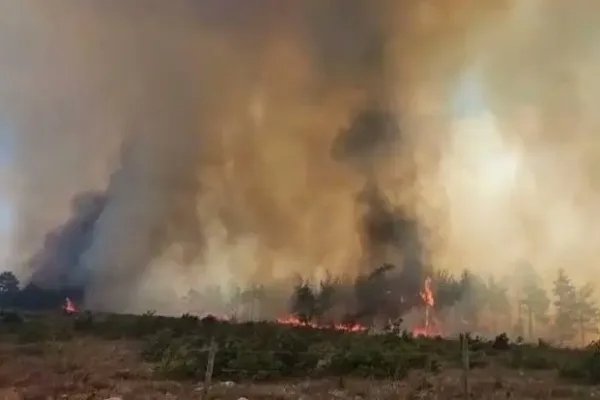 Kaş’ta çıkan orman yangınına yoğun müdahale