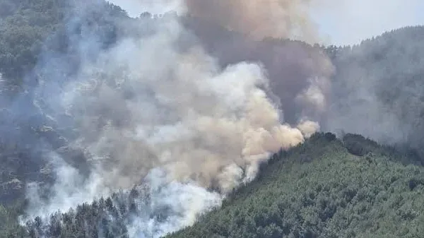 Kaş’taki orman yangınında söndürme çalışmaları ikinci gününde