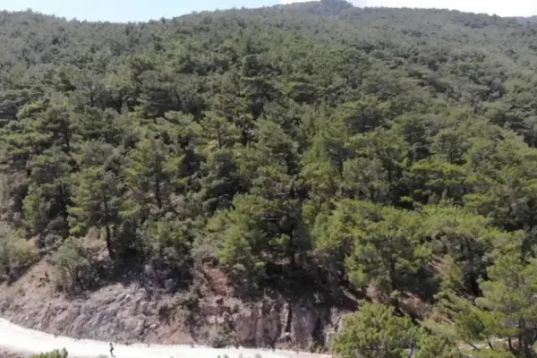 Kahramanmaraş’ta ormanlara girişlere yangın tedbiri