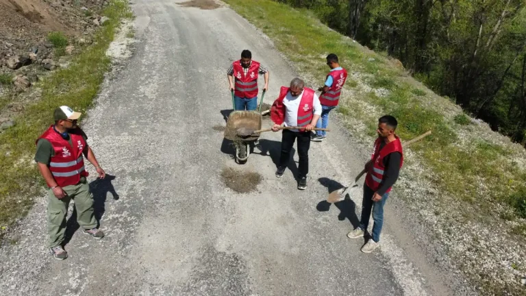 Alucra’da köy yollarına tepki: Sembolik olarak kazma kürekle onardılar