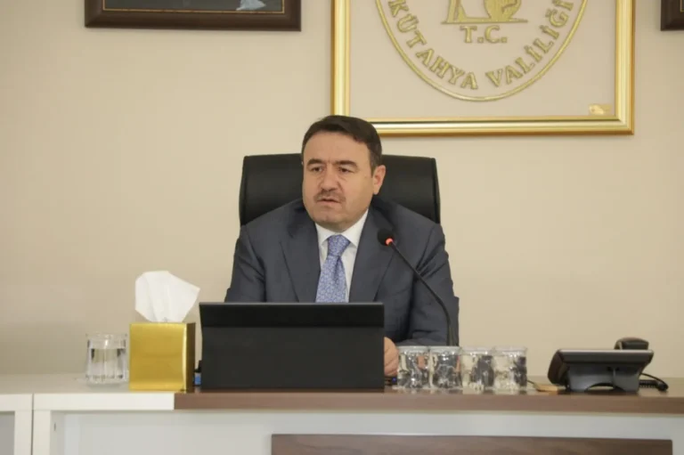 Kütahya’da 18 bin 600 sahipsiz köpek toplandı