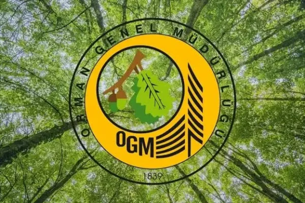OGM duyurdu; Antalya ve Adana’daki yangınlar kontrol altında