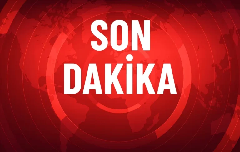 Erzurum Horasan’da kan donduran kaza