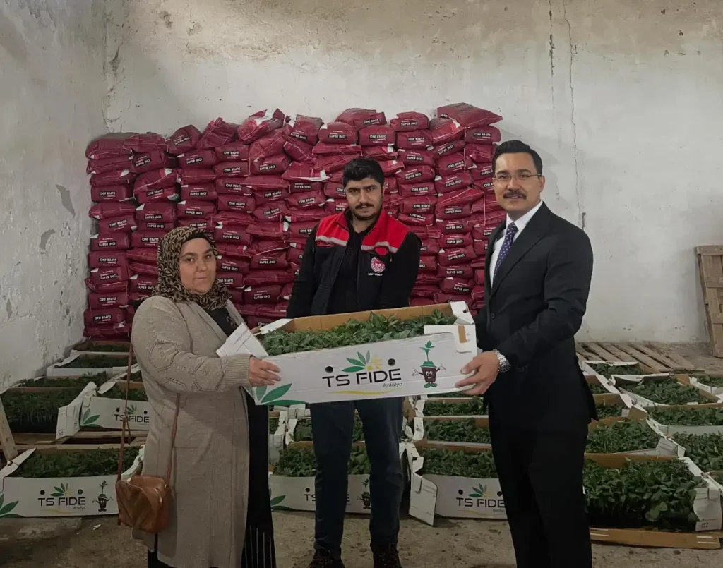 Akyaka’da çiftçilere  destek: 53 üreticiye %75 hibeli fide dağıtıldı