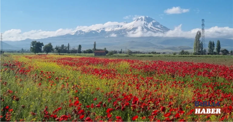 Aksaray’da Hasan Dağı Bahar Manzarası Hayran Bırakıyor