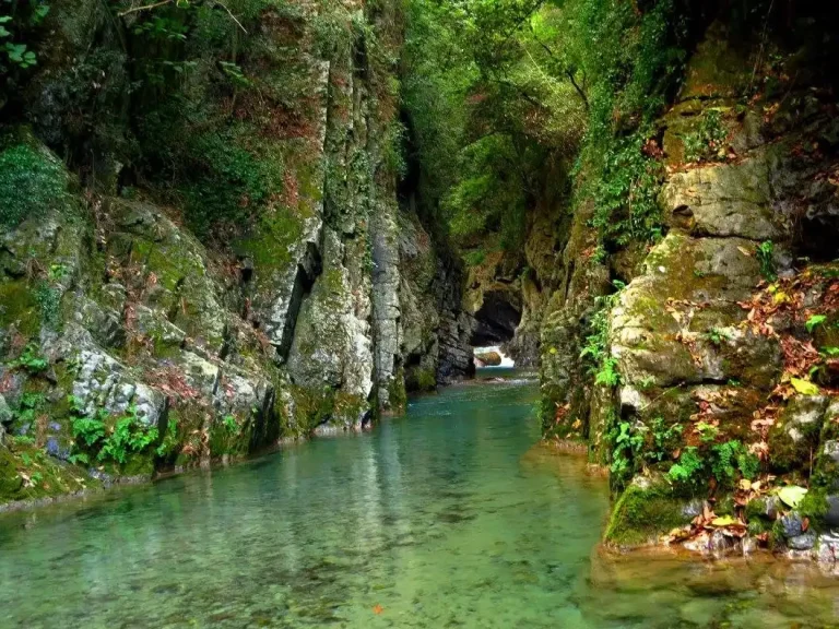 ”Amanos dağlarının doğal mirası korunmalı”