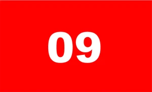 Aydın