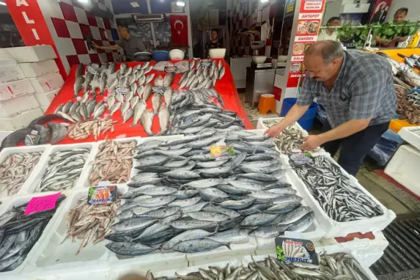 Av sezonu palamut bolluğuyla başladı