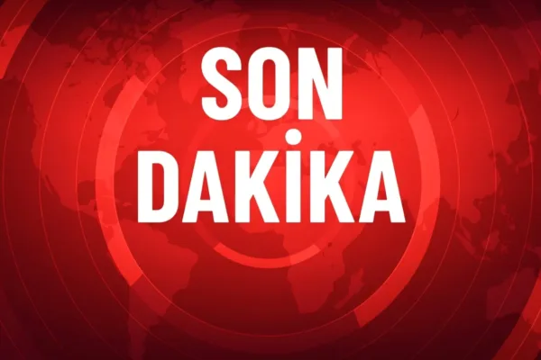Erzurum Horasan’da kan donduran kaza