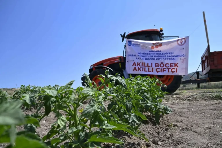 ABB’den üreticiye “Akıllı Böcek” desteği