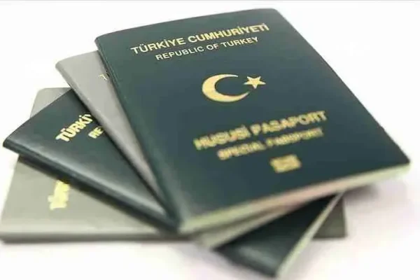 Yeşil ve gri pasaport başvurularında dijital dönem başladı