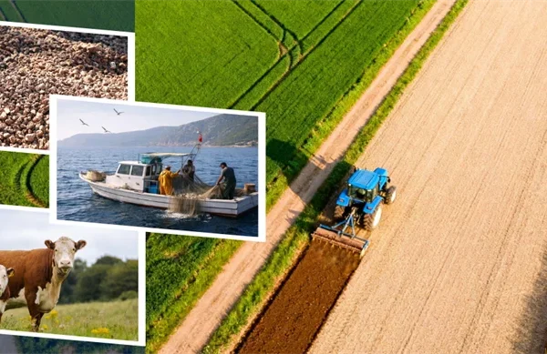 3.7 Milyar Liralık Destekleme Ödemesi Hesaplara Aktarılıyor