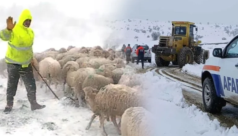 Yalvaç’ta mahsur kalan sürü kurtarıldı