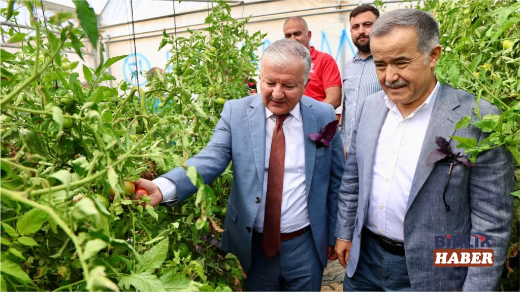 Gücünkaya Köyü’nde Devlet Destekli Seralar İncelendi