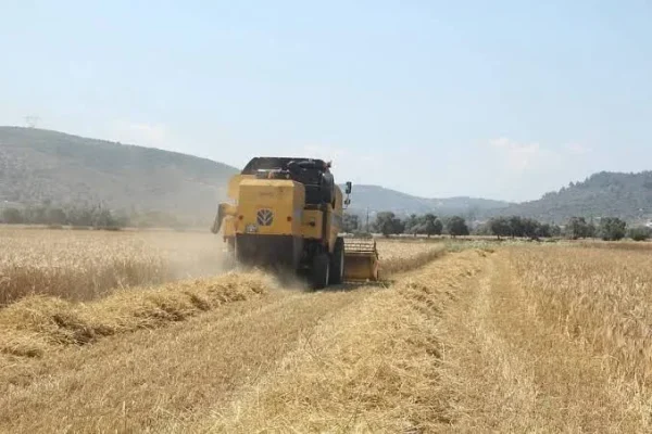 Tarımsal destekleme ödemeleri çiftçilerin hesaplarına aktarılıyor
