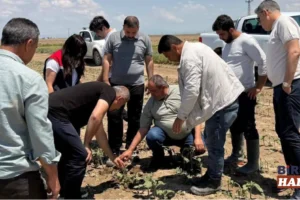 Aksaray Sultanhanı’nda Dolu Vurdu: Yetkililer Hasar Tespiti İçin Sahada