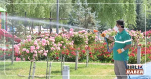 Aksaray’da 48 Mahallede Yaz Boyunca İlaçlama Çalışması