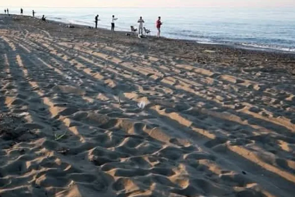 Caretta yuvalarına zararın bedeli 699 bin lira