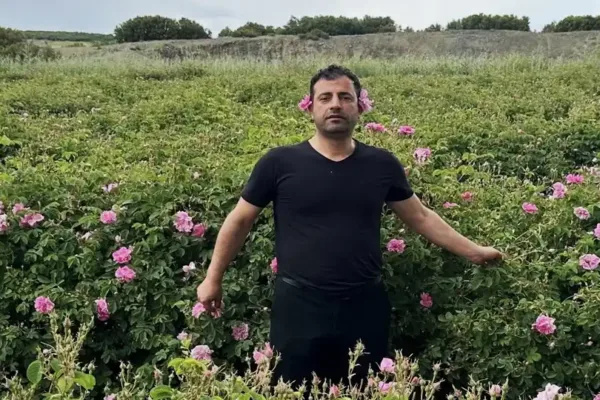Gülün başkentinde hasat coşkusu: Isparta’da gül sezonu başladı