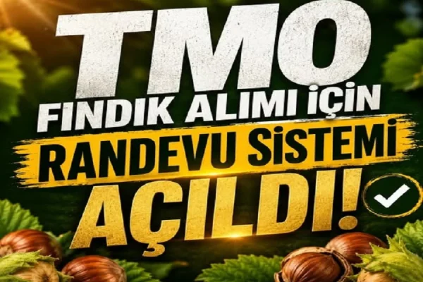 TMO fındık alımı için randevuları açtı