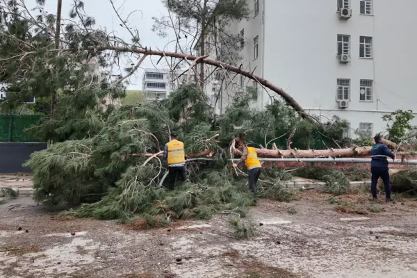 Şanlıurfa Büyükşehir Belediyesi, Birecik’te afetin yaralarını sarıyor