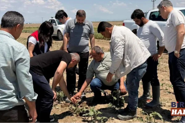 Aksaray Sultanhanı’nda Dolu Vurdu: Yetkililer Hasar Tespiti İçin Sahada