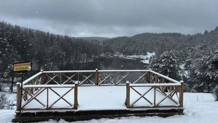 Kızılcahamam Karagöl Orman Parkı Mayıs’ta beyaza büründü