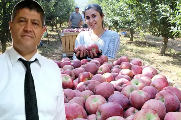 Soğuk hava depolarındaki 50 bin ton elma için kritik uyarı