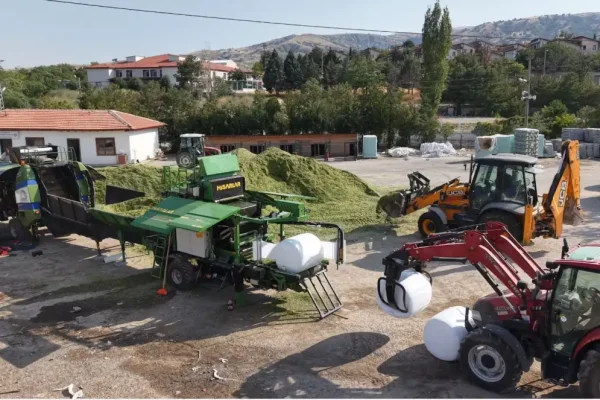 Çiftçiden alınan mısır silajları hayvan yetiştiricilerine dağıtılıyor