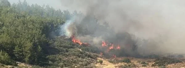 Çanakkale’de orman yangınına müdahale