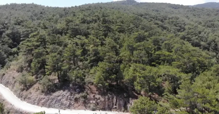 Kahramanmaraş’ta ormanlara girişlere yangın tedbiri