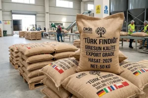 Fındık ihracatı yükseldi fiyat geride kaldı